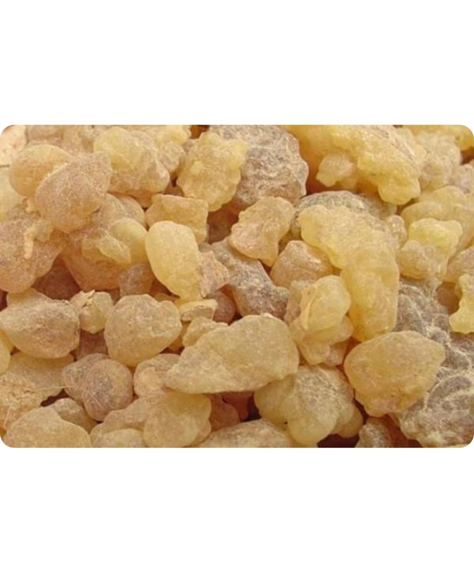 کندر خوراکی100گرم