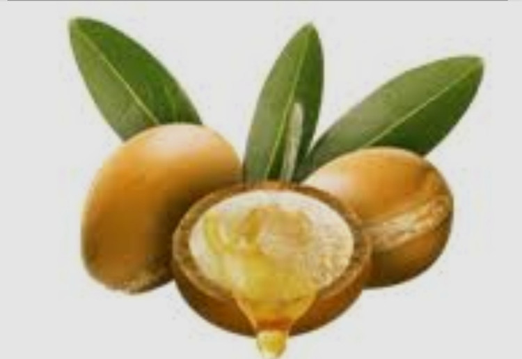 روغن آرگان دستگیر اصل 30میل